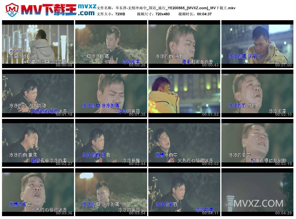 岑东泽-无情冷雨中_国语_流行_YE200565